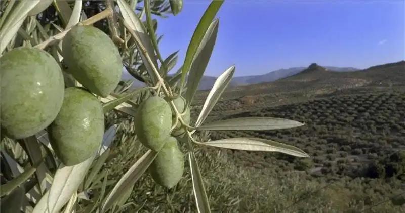 El Convento Vivienda Rural Jaen Andalucia Espana Carchelejo Buitenkant foto